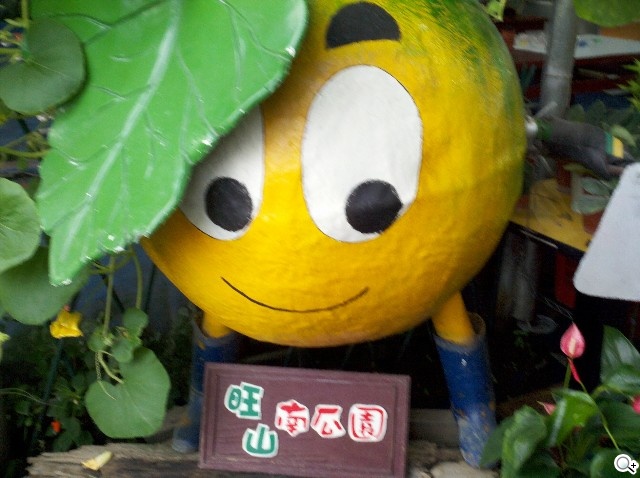 本文章相關圖片