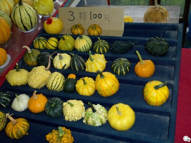 本文章相關圖片