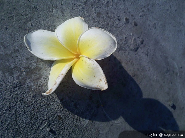 本文章相關圖片