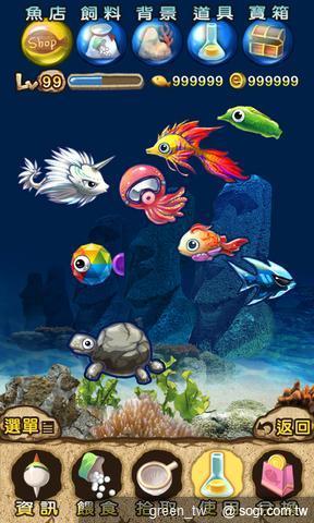 「魚魚水族箱」是台灣大哥大與本地知名遊戲廠商獨家合作